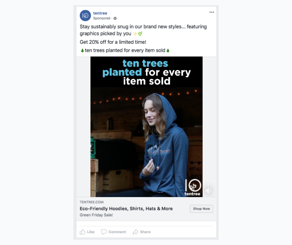 Example of a Facebook video ad.