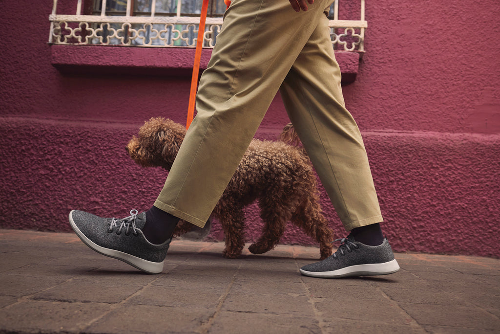 Person walking a dog in Allbirds Wool Runners