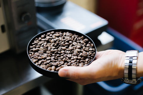 A tray of coffee beans.