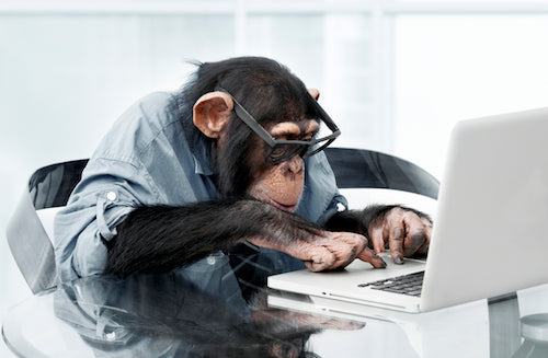 productive highly monkey being code working entrepreneurs productivity tips software without hours programmer shopify monkeys copy paradox shopping pastes understanding