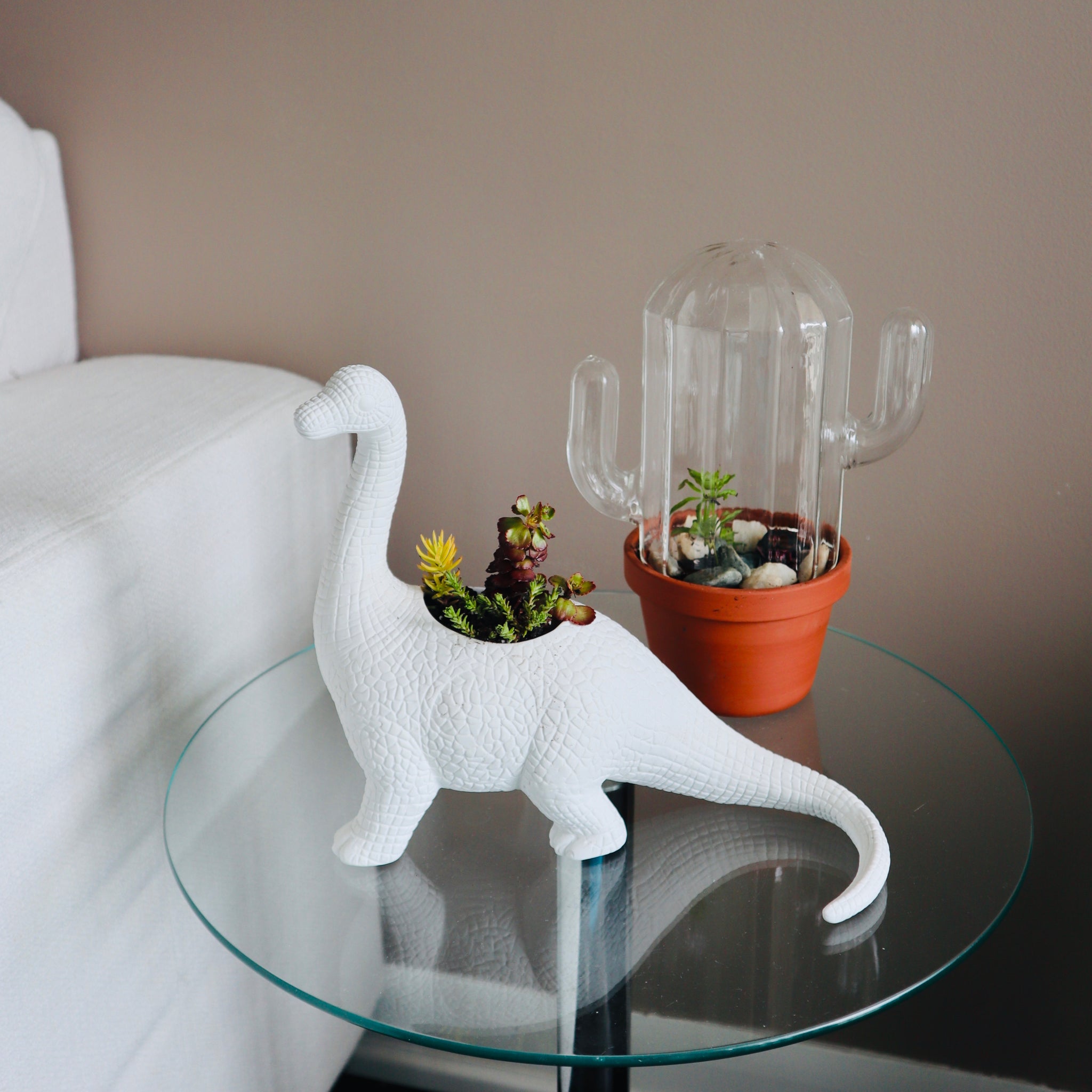 A dinosaur shaped planter backdropped by a cactus shaped terrarium, both by Bitten Design. 