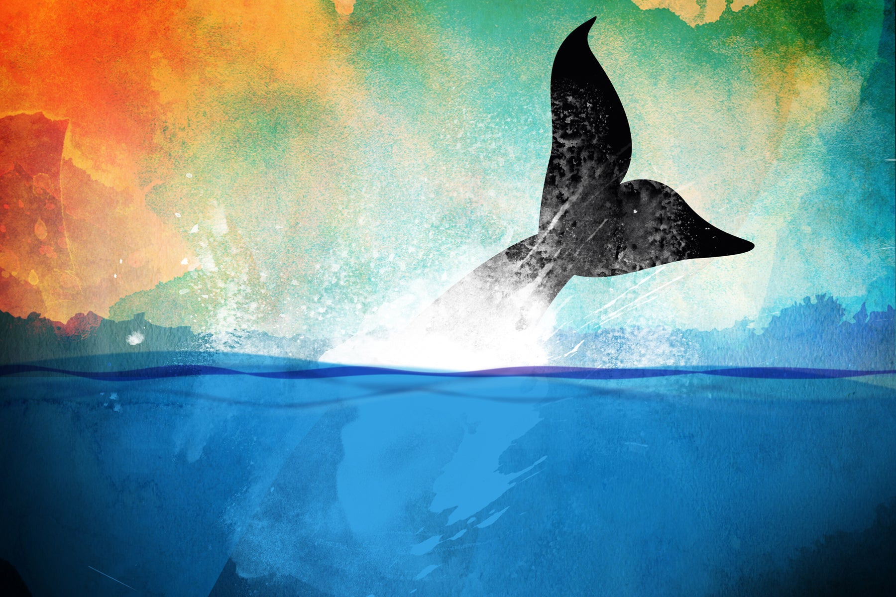 Illustrated image of a whale's tail splashing the water in front of a colourful sky.