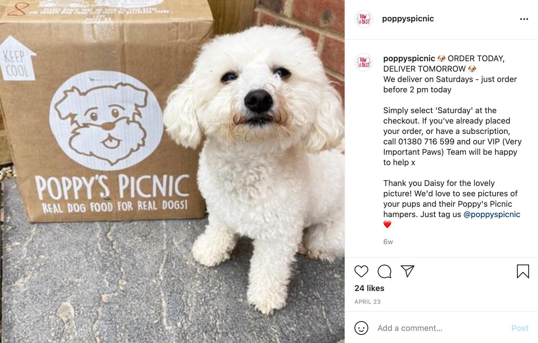 Poppys Picnic on Instagram