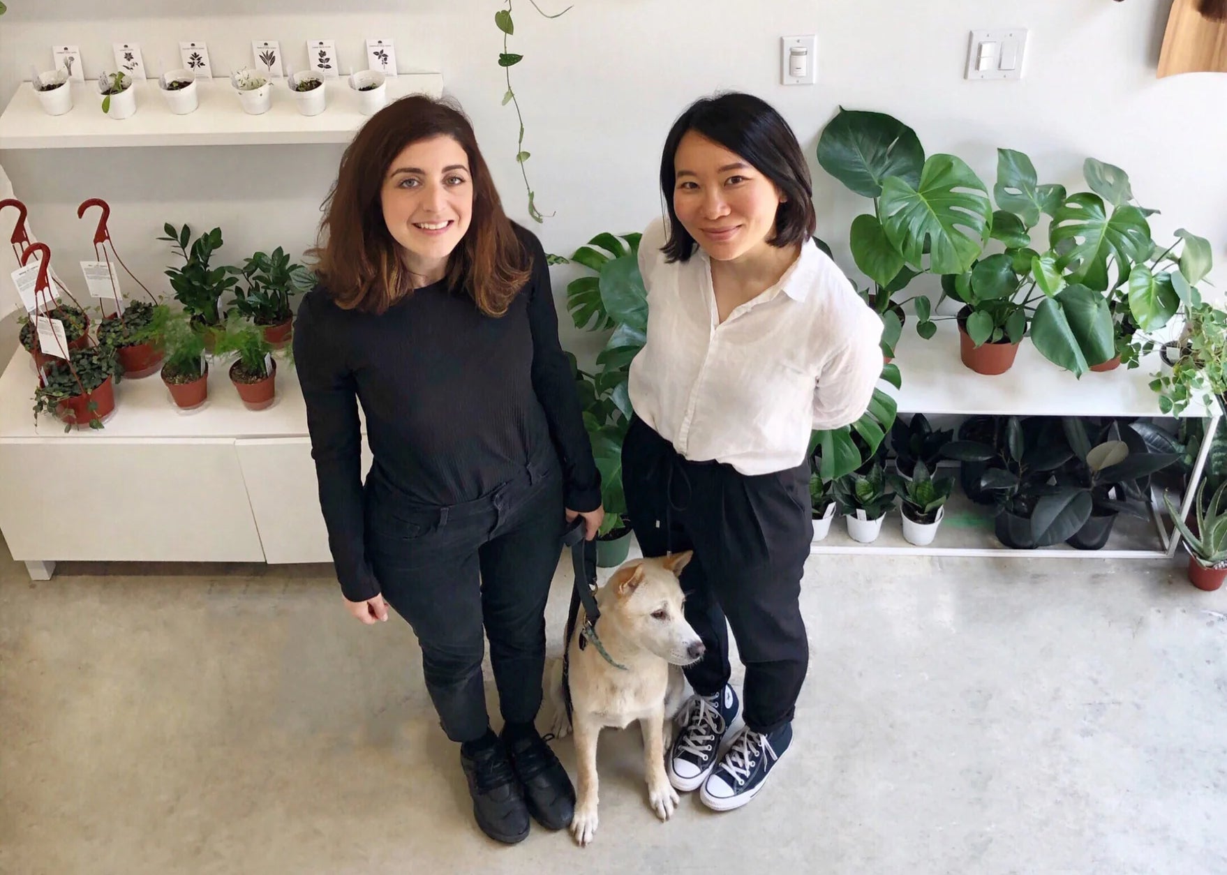 Two women stand in front of a row of plants on a shelf