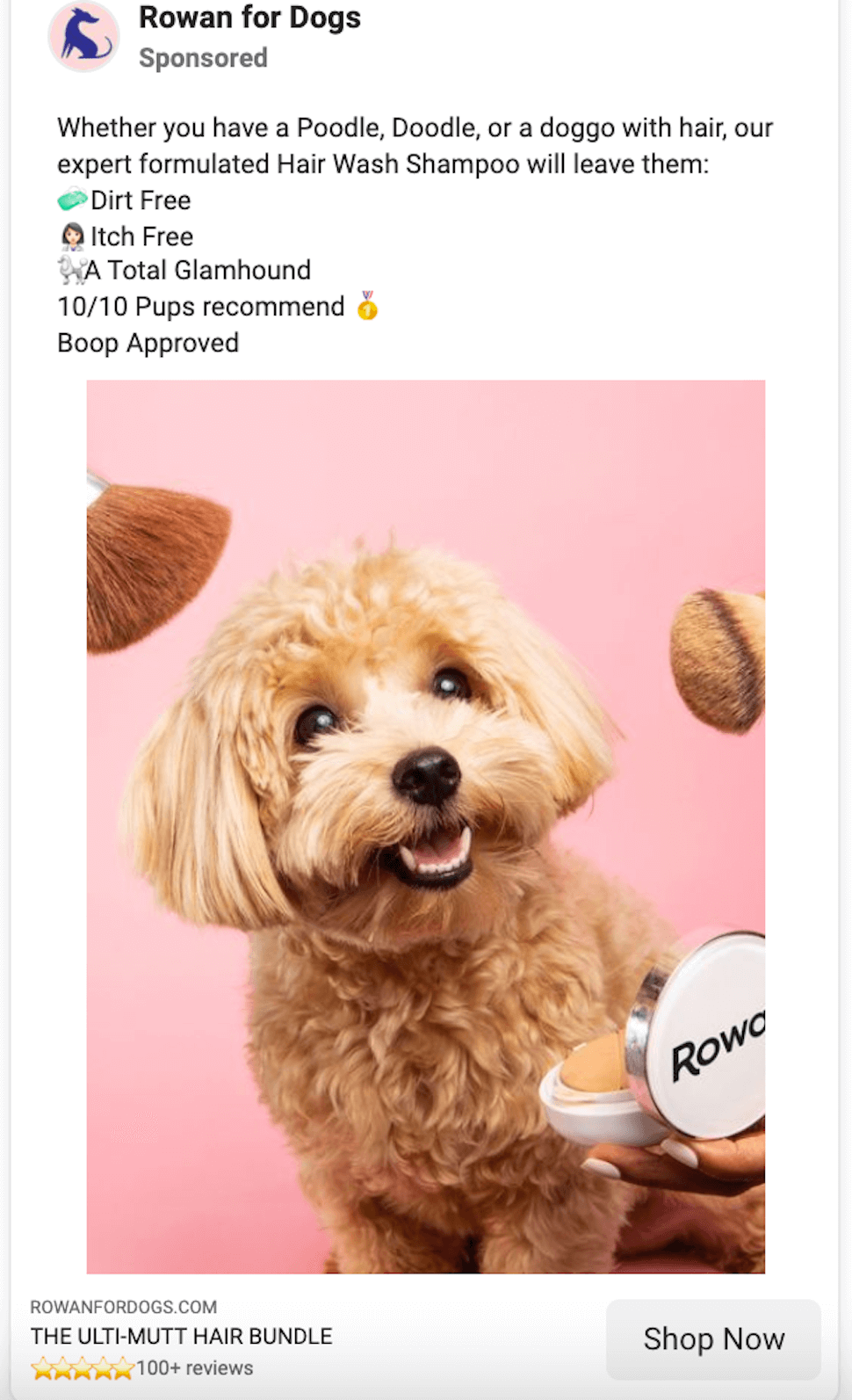 Rowan for Dogs Facebook ad example