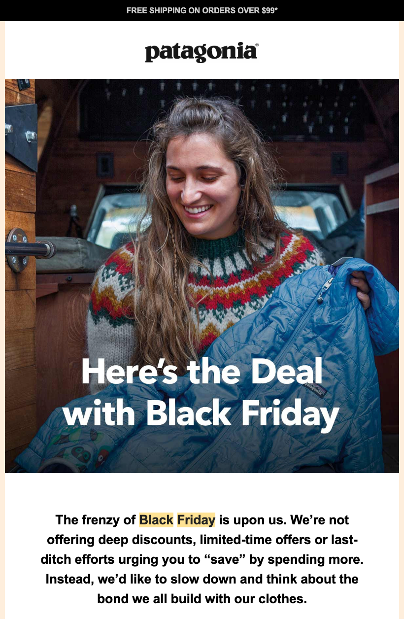 Patagonia Black Friday mission email example.