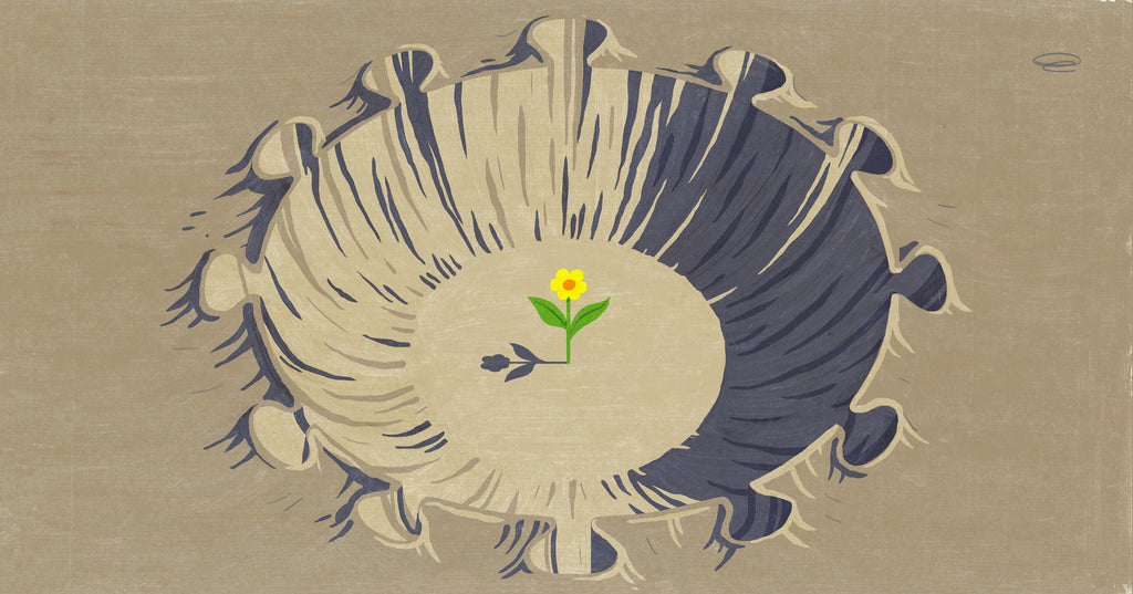 5 things that made us happy in 2020 (illustration of a crater shaped like the Coronavirus with a flower growing in the middle)
