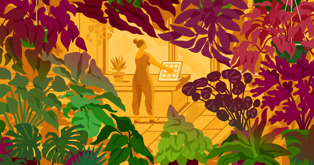 一个店主在她的植物店内的插图，由一个诅咒框显示一个商人在网上销售植物，同时拥有一个植物店