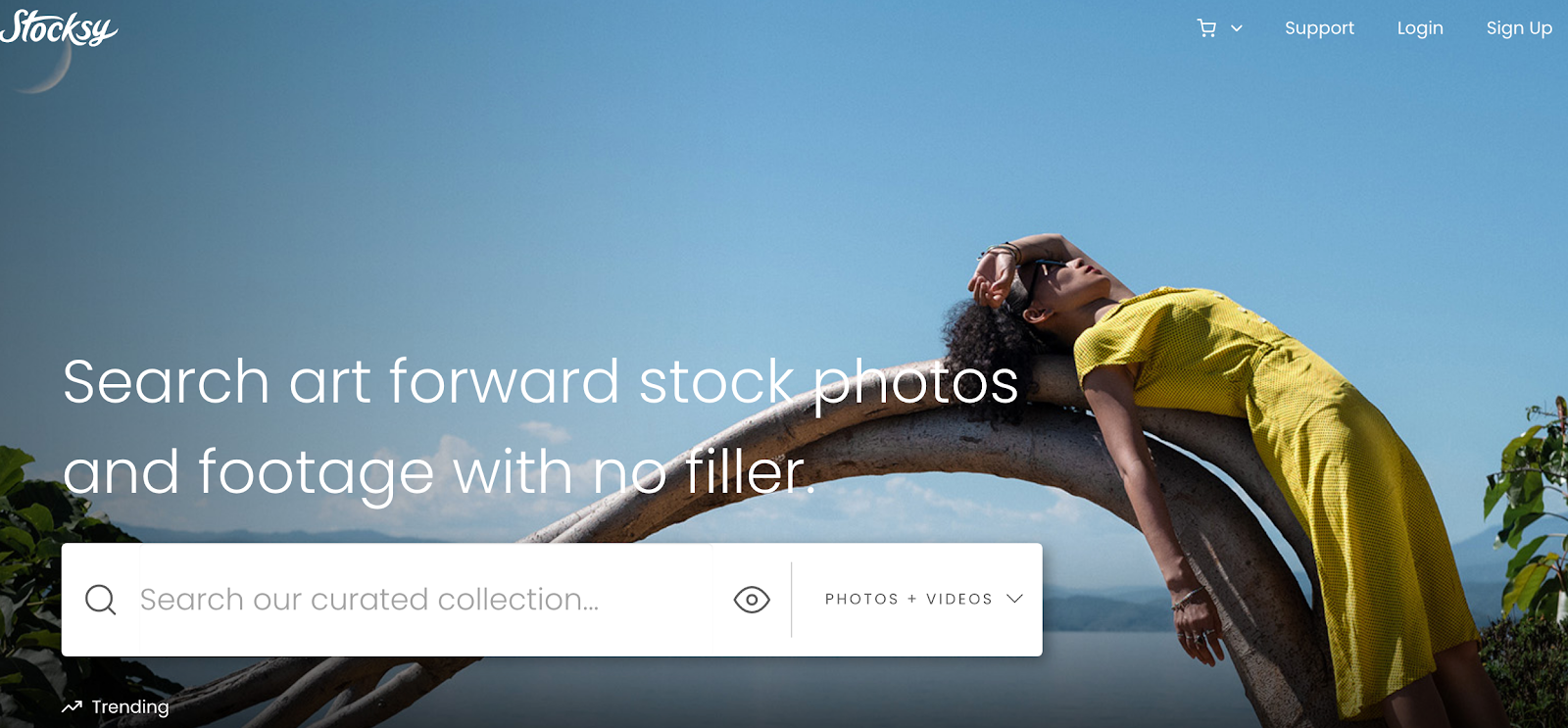 Sito web Stocksy per vendere foto online