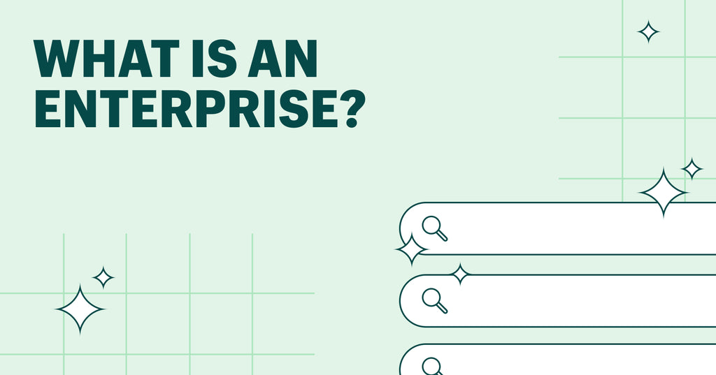 what is an enterprise