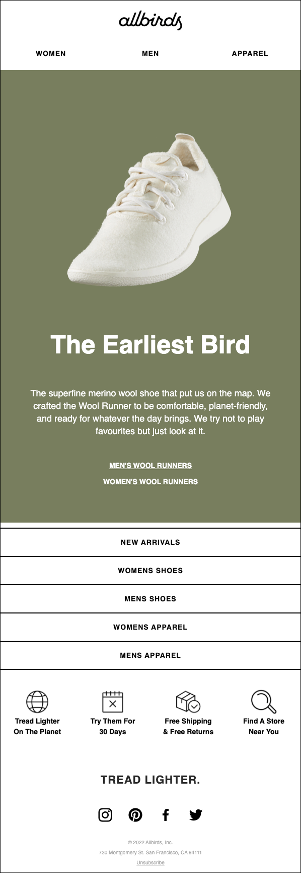 allbirds-email-marketing-example