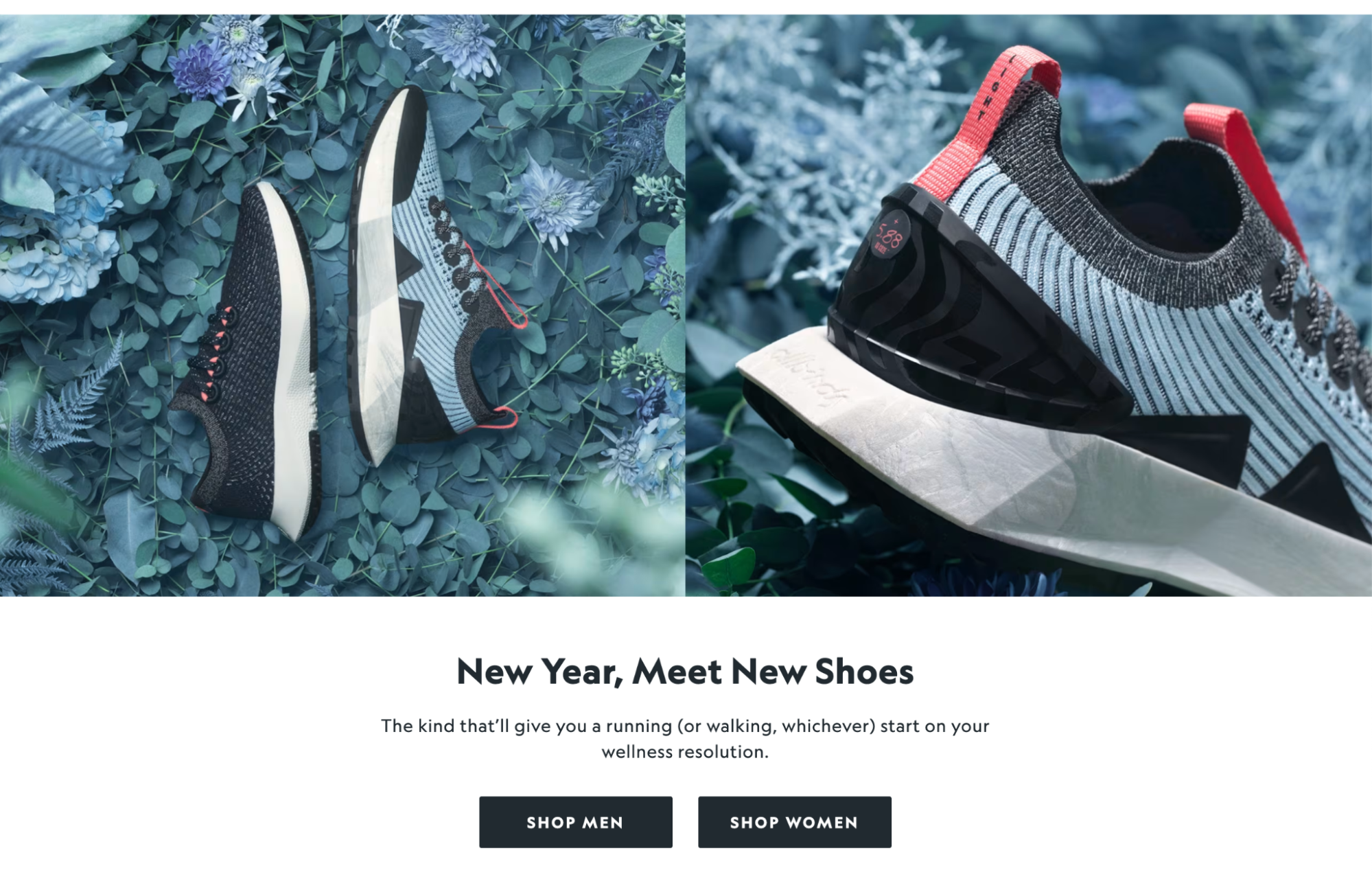 Allbirds new shoe displayed online in branded style