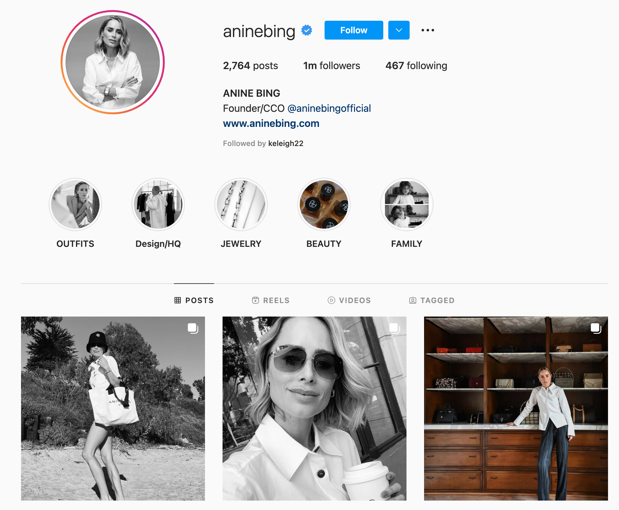 instagram-profiel van Anine Bing