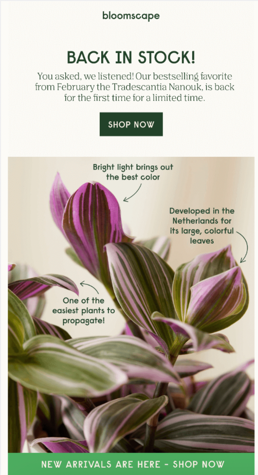 bloomscape email