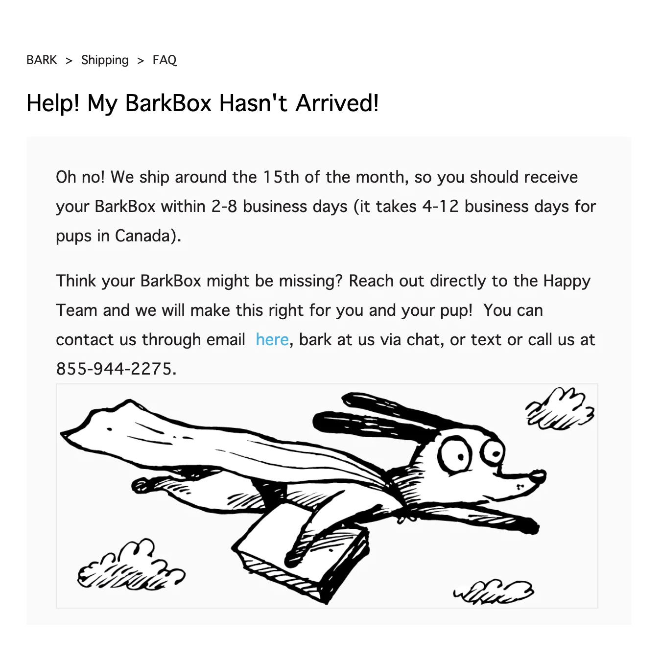 Barkbox brand voice and tone