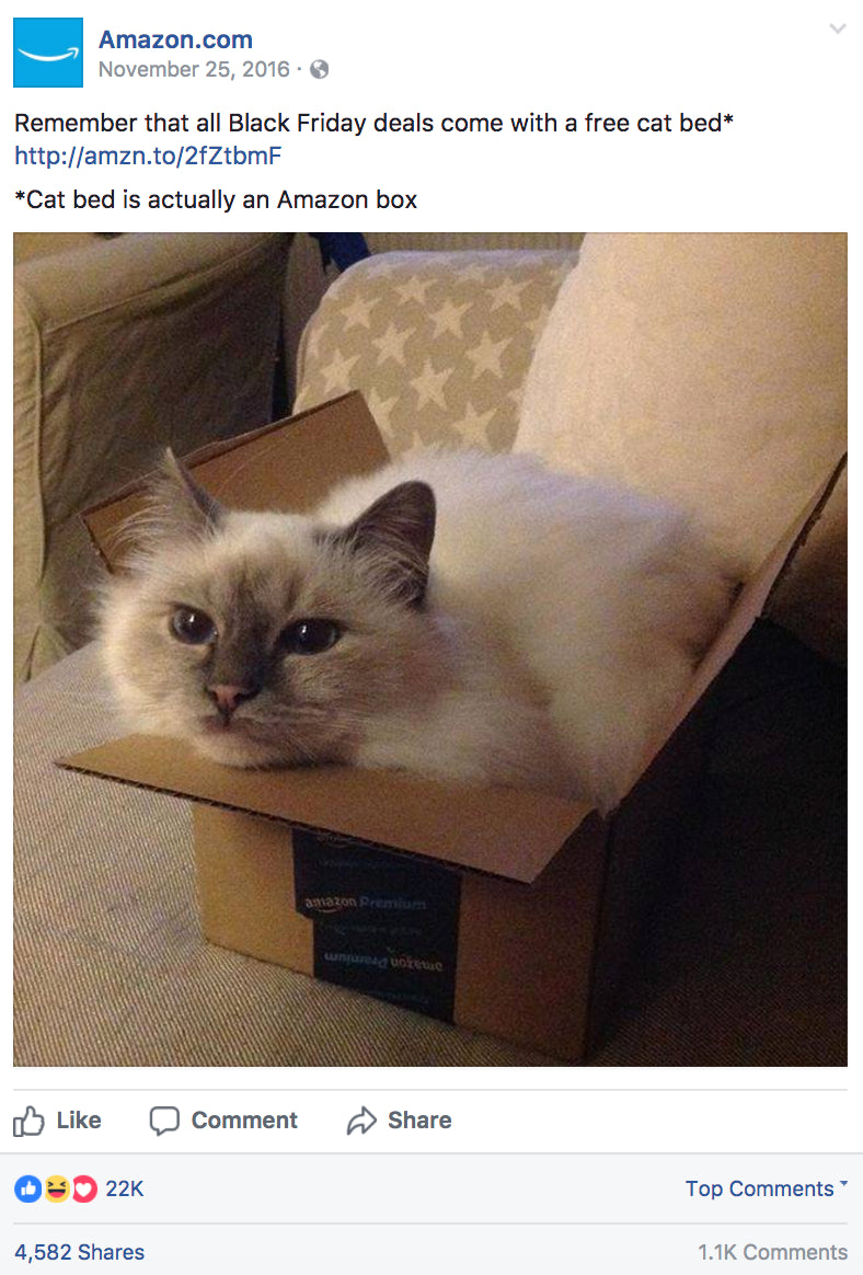 Amazon offers free cat bed with every order