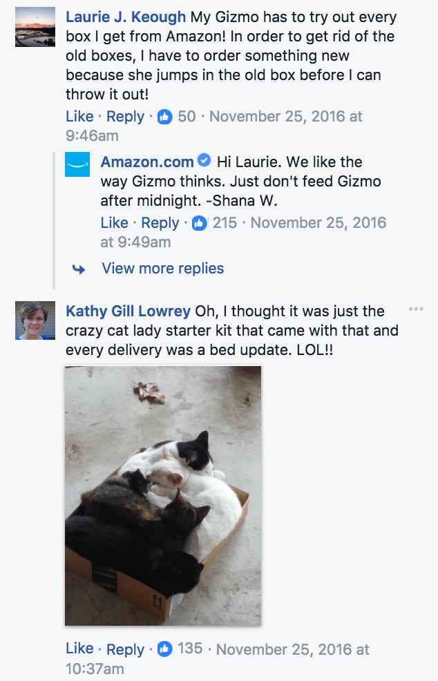 Free cat bed comments