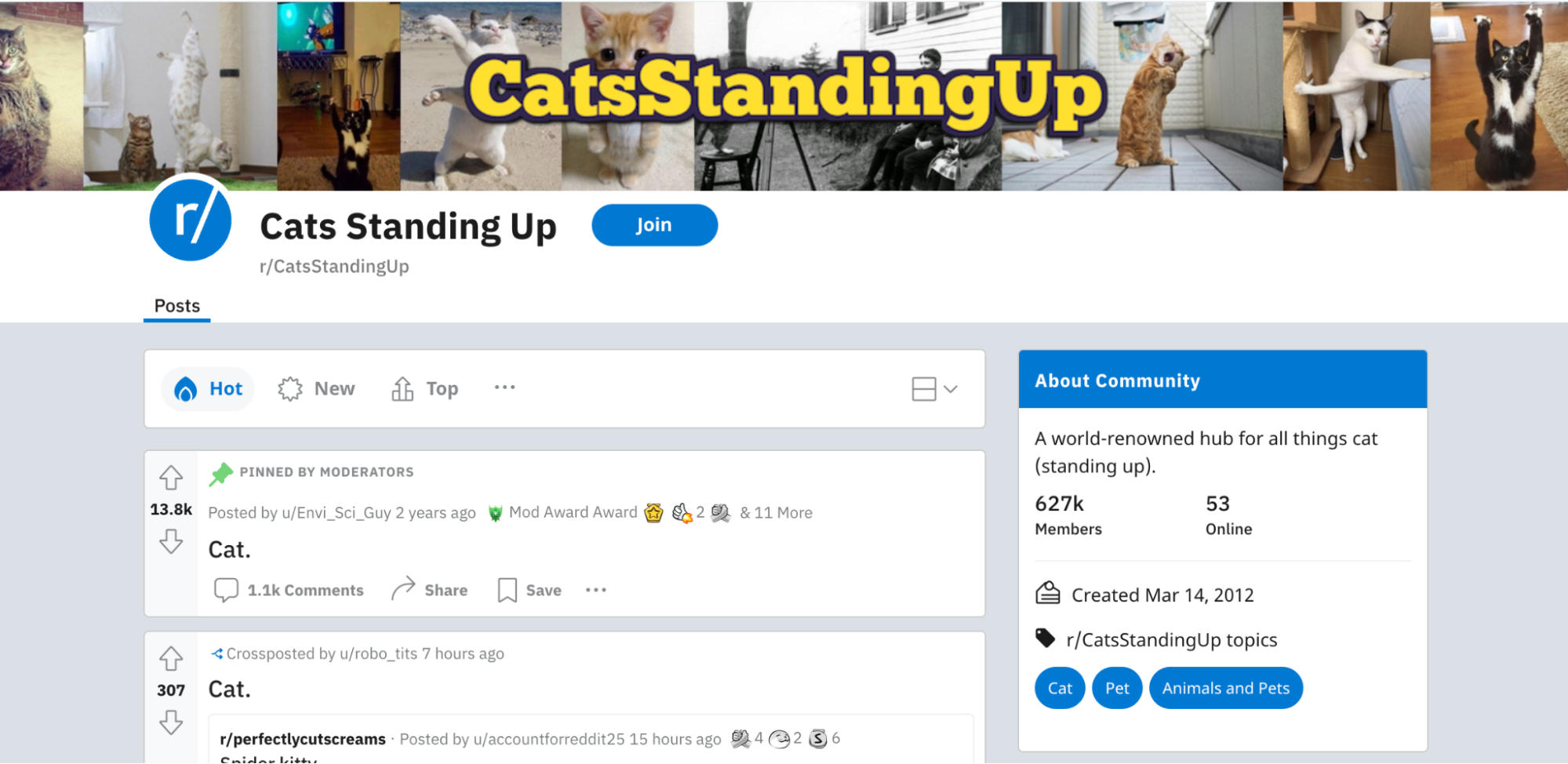 CatsStandingUp on reddit