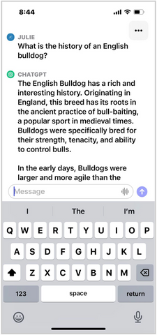 ChatGPT interface on iPhone