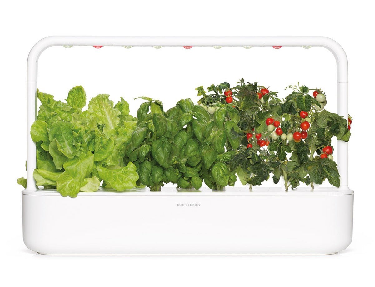 Click and Grow smart garden against a white background