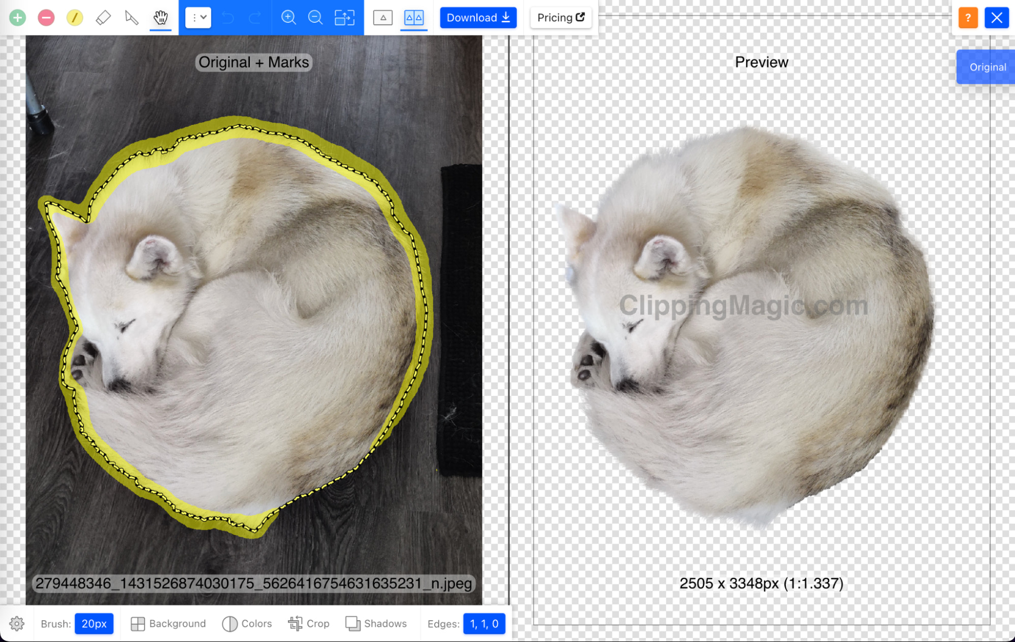 Top 10 Best Free Background Remover Tools for 2022