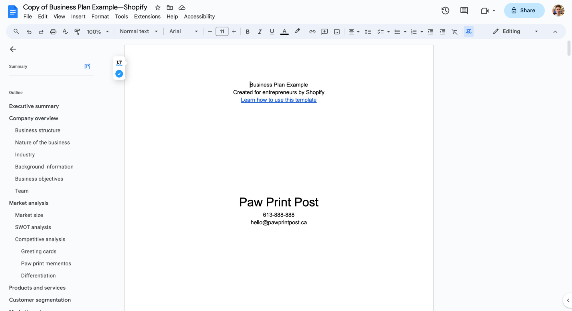 A business plan created in Google Docs.