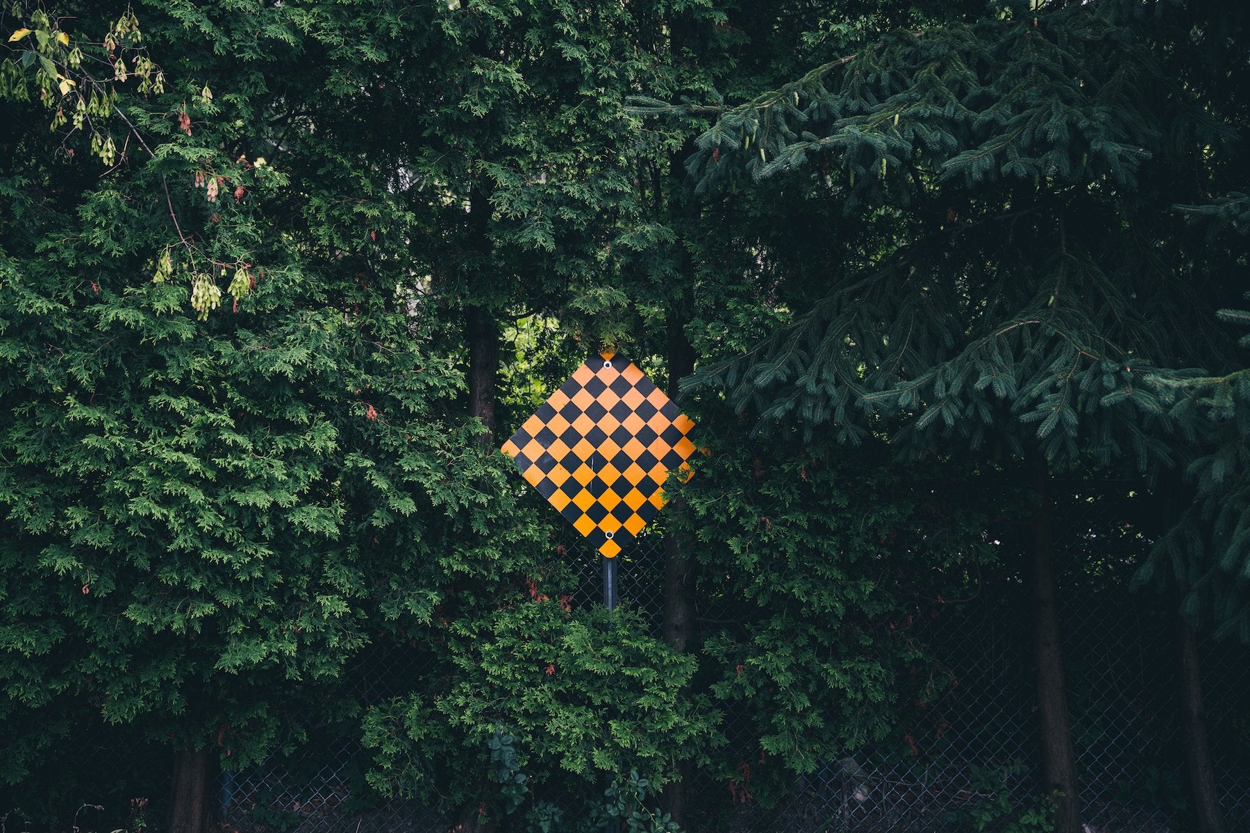 Dead end sign in the forest