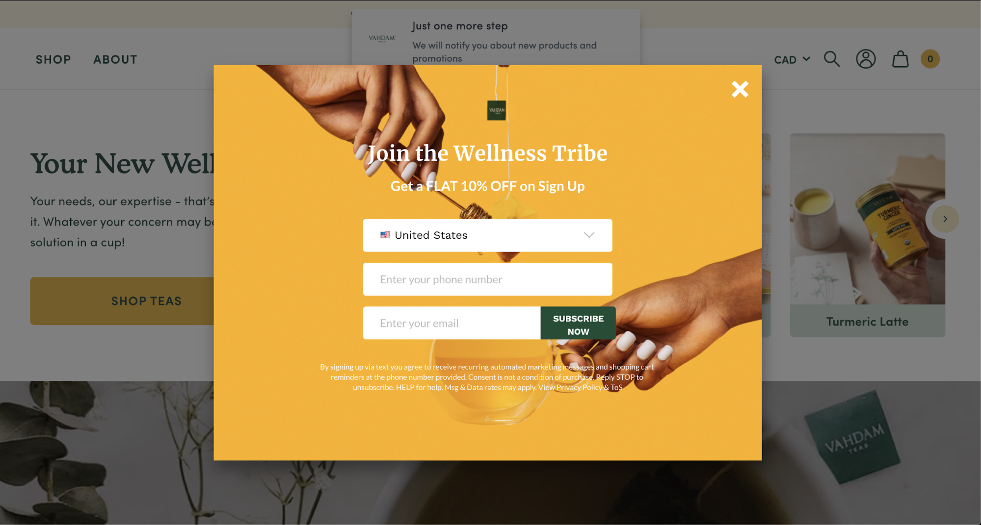 an email opt-in pop-up from vahdam teas