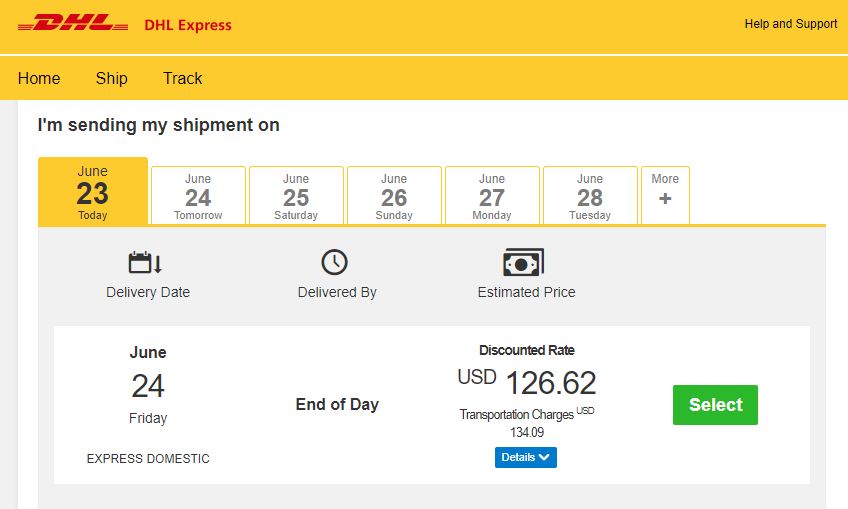 DHL overnight shipping options screenshot