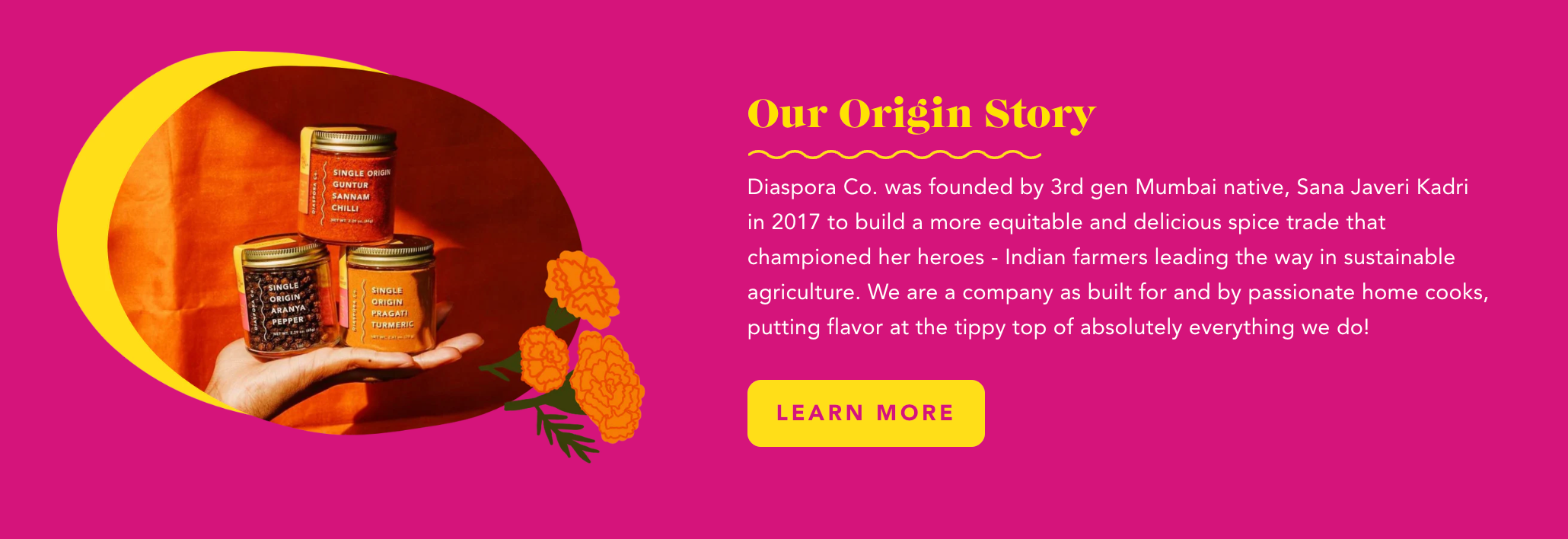 A screen grab of Diaspora Co's About Us page