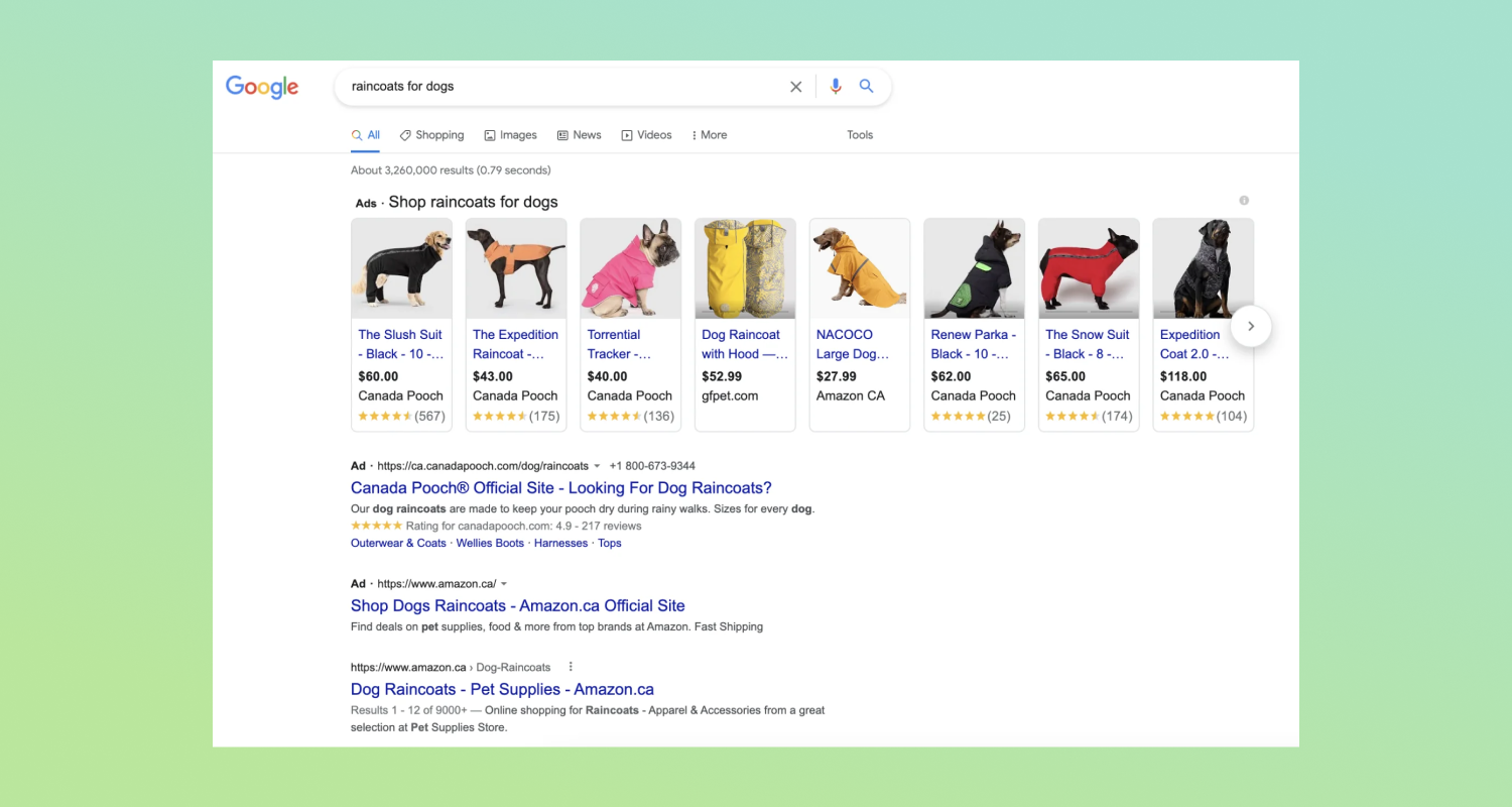 Google search results page for the commercial keyword “raincoats for dogs” with ecommerce results.