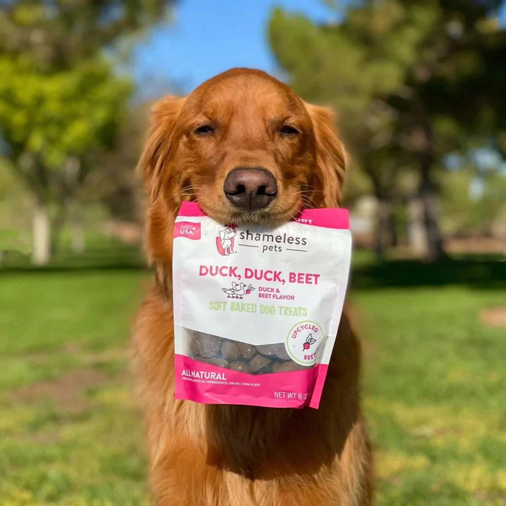 A dog holds a bag of treats in his mouth