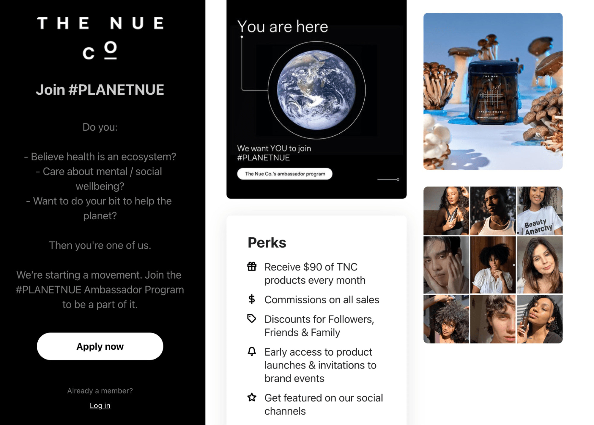 A screenshot of The Nue Co. ambassador program, which invites customer evangelists to earn rewards for sharing the brand