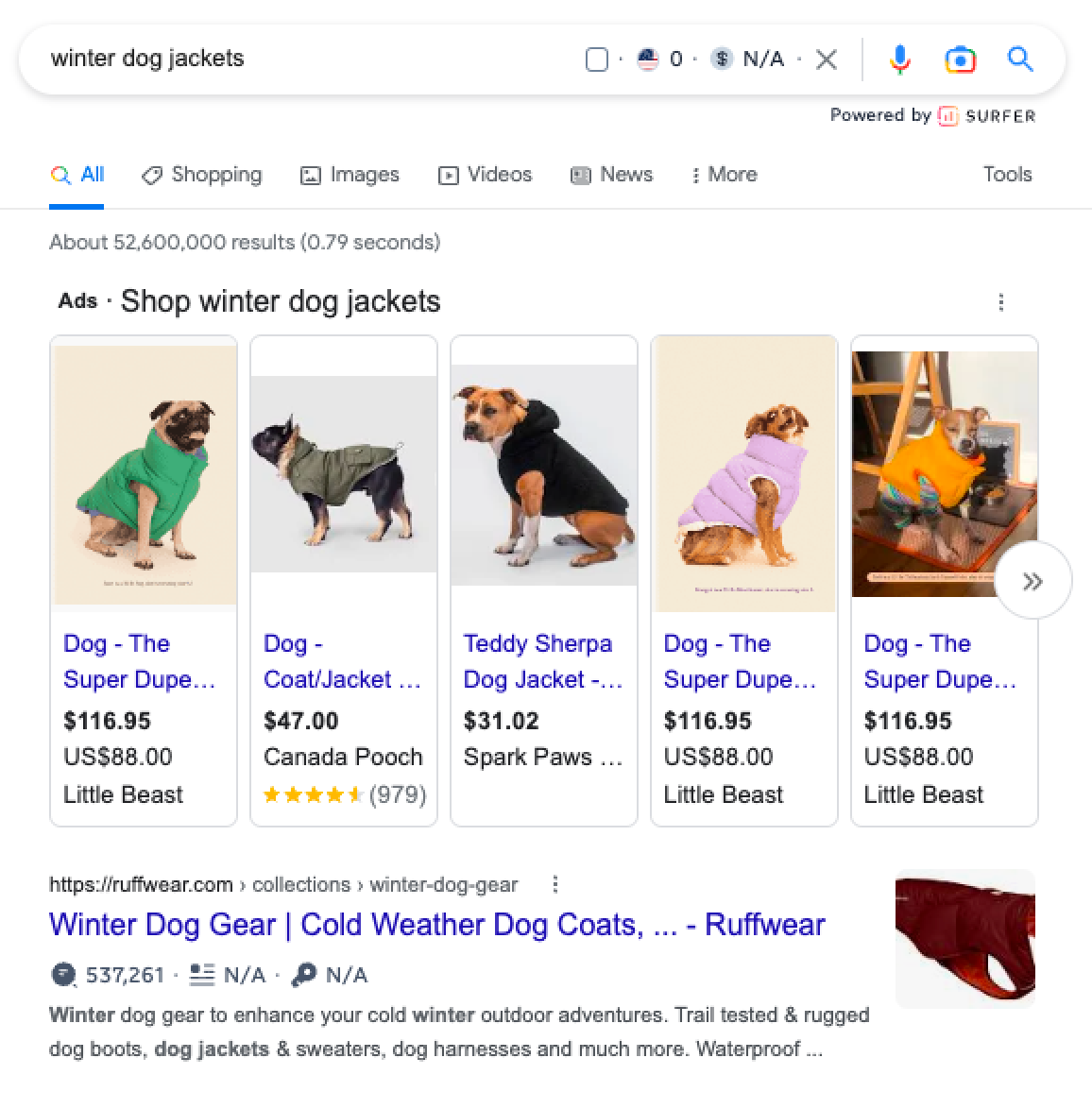 A screenshot of the Google search results for winter dog jackets, showing how roughwear appears with a dedicated collection page targeting this search query