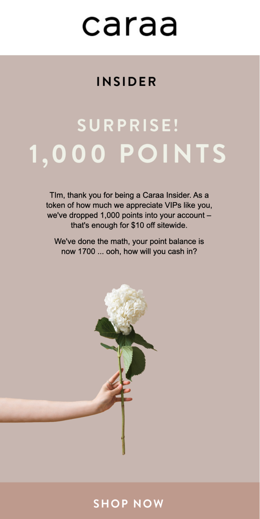 An email from Caraa offering its VIP customers 1,000 reward points for their loyalty.