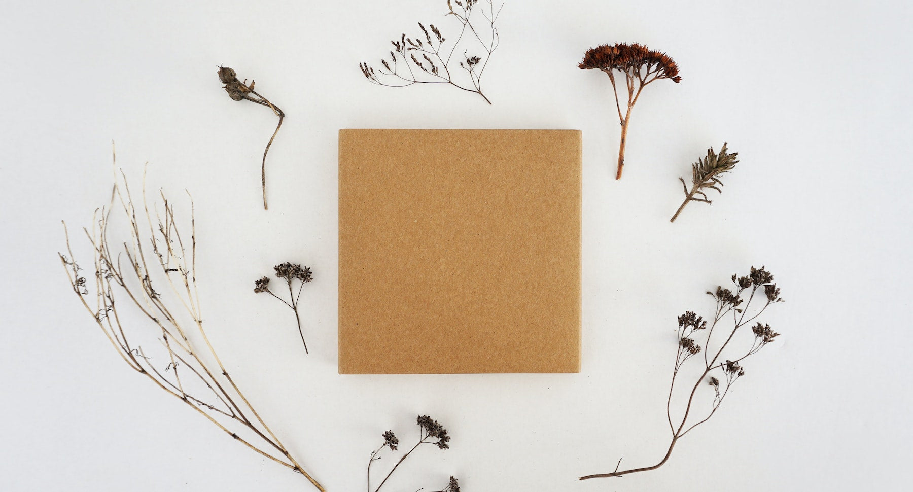 A brown box sits on a white background surrounded by dried wildflowers