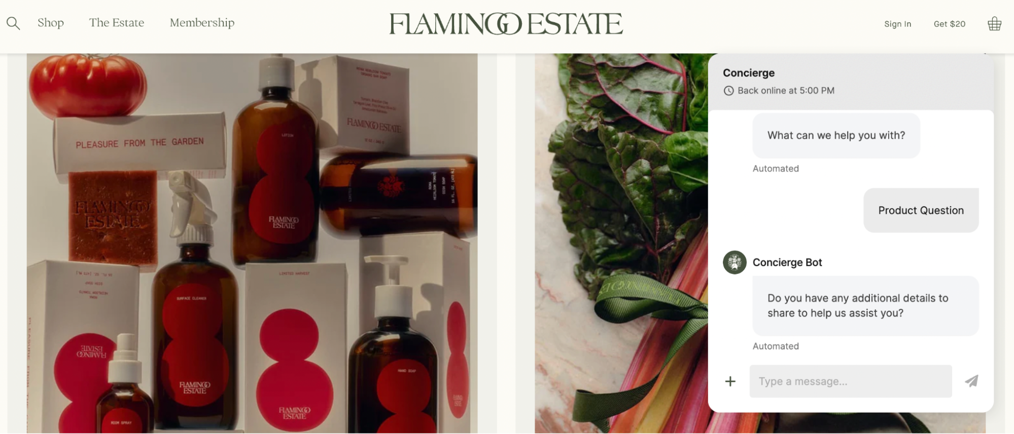 Flamingo Estate’s pop-up chatbot asks “What can we help with?” and encourages shoppers to share additional details.