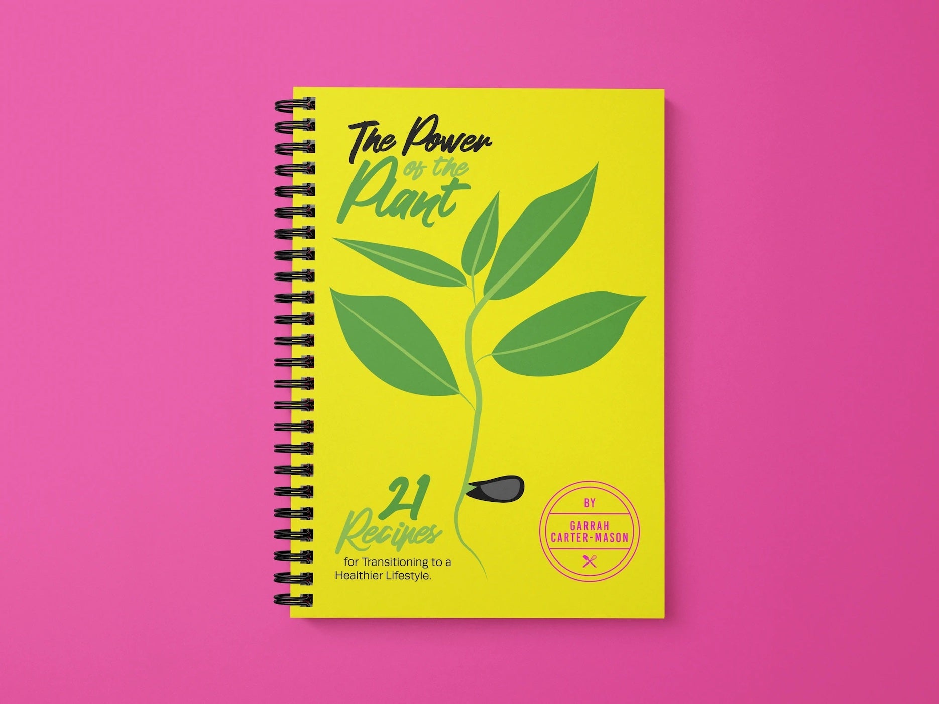 The cover of The Power of the Plant, the BirdFoodie cookbook