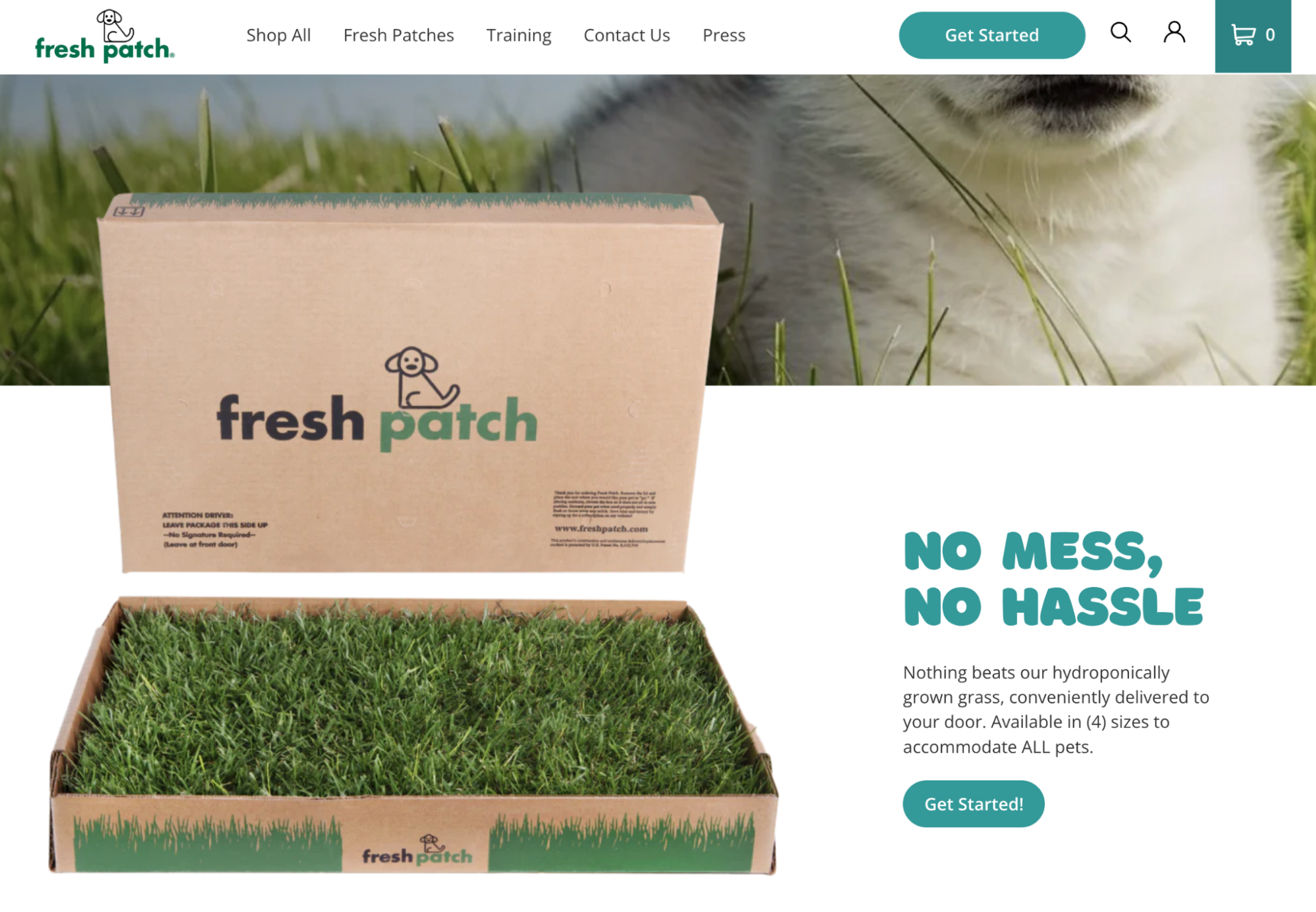 Image of Fresh Patch’s homepage featuring its main product.