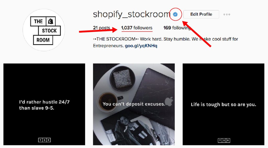 How We Got Verified on Instagram (With Less Than 400 Followers) - Shopify  Singapore
