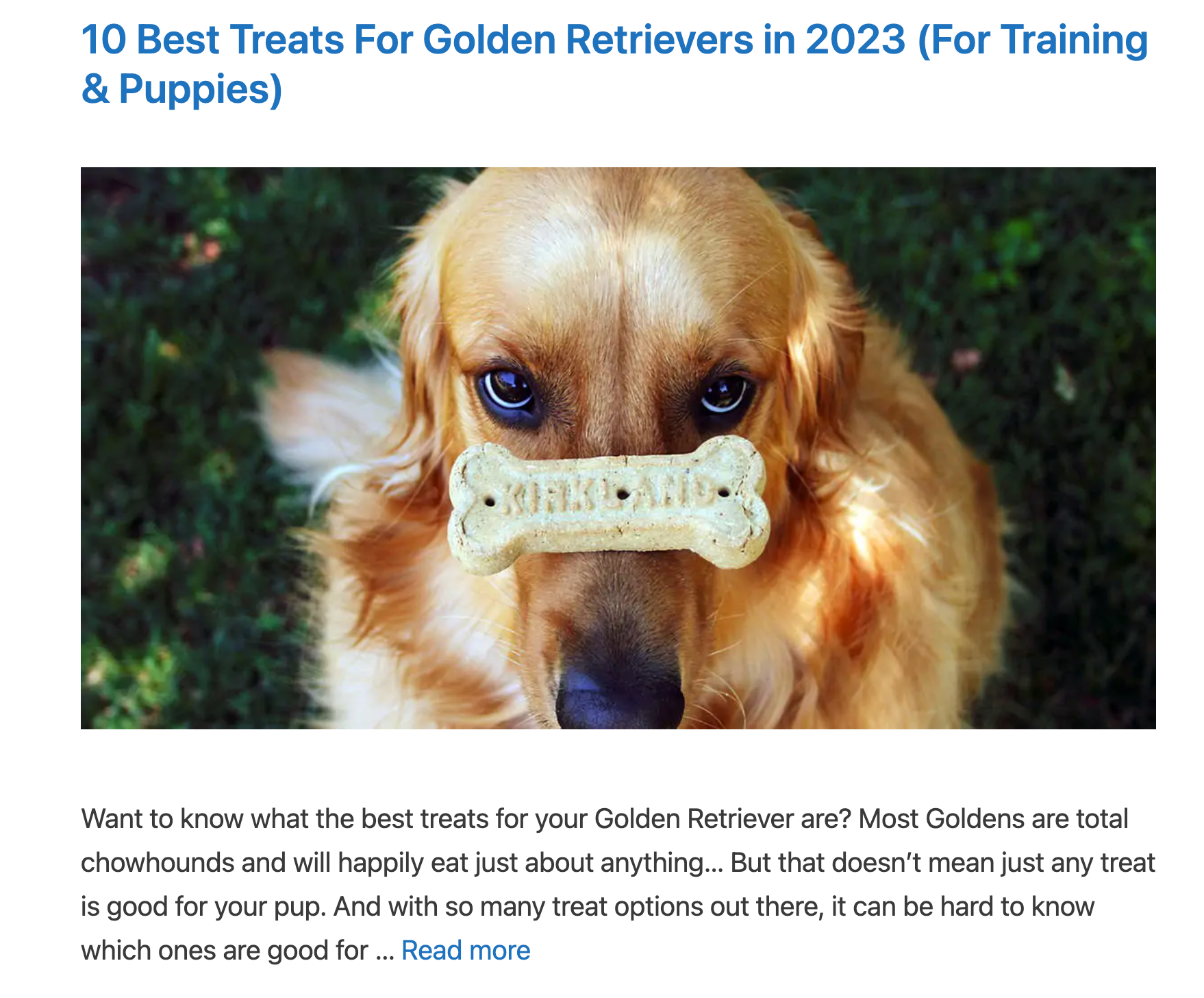 Screen grab of Instagram post with a pic of dog and treat on its nose.