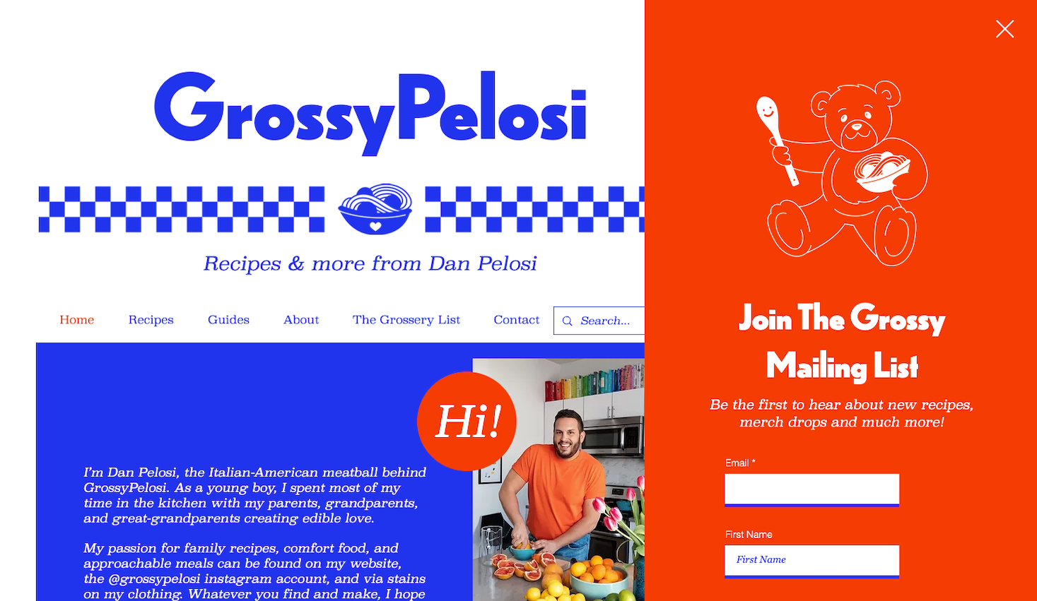 A screenshot of the email newsletter sign up pop up on the GrossyPelosi blog