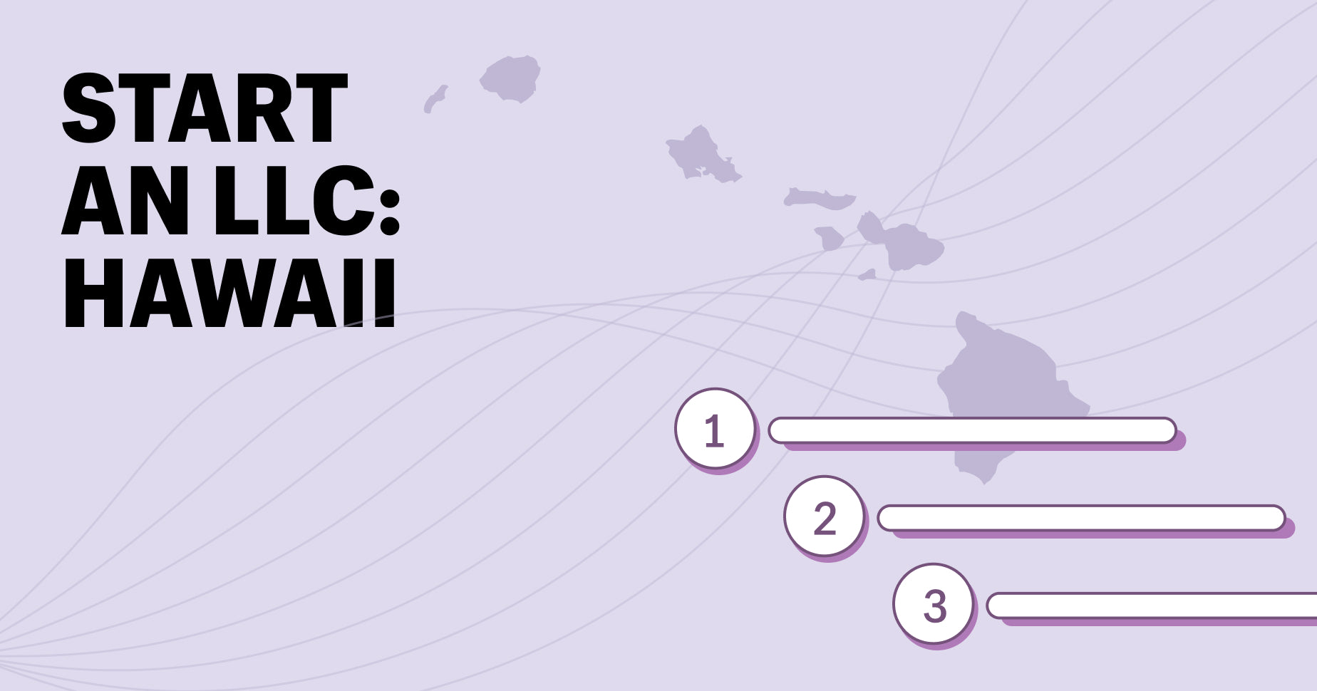 start an llc hawaii on left side, right is silhouette of hawaii map and bars/circles indicating sequential steps