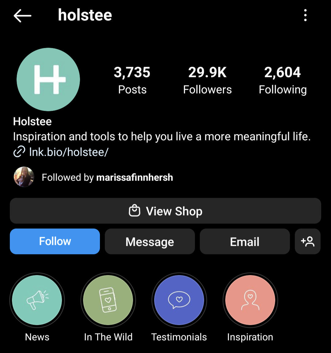 screenshot of Holstee Instagram bio
