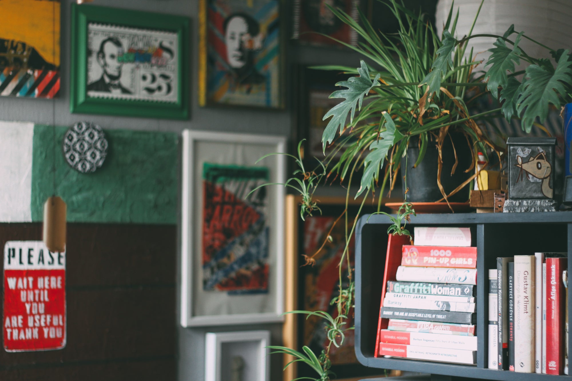 An eclectic living space with books, plants, a gallery wall against emerald green paint