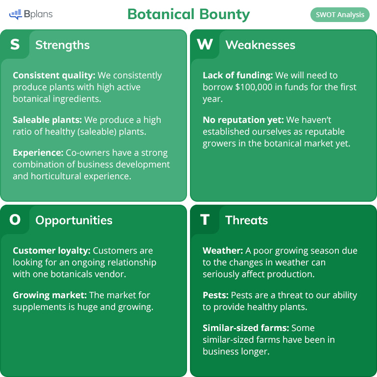 botanical-beauty-swot-analysis