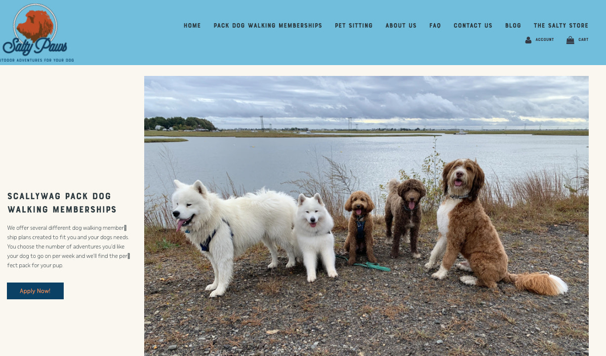 salty-dogs-website-screenshot