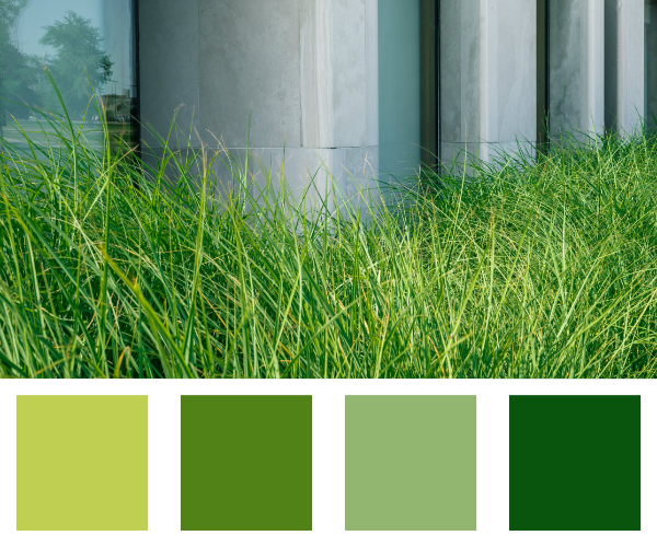 logo-color-palette-grass