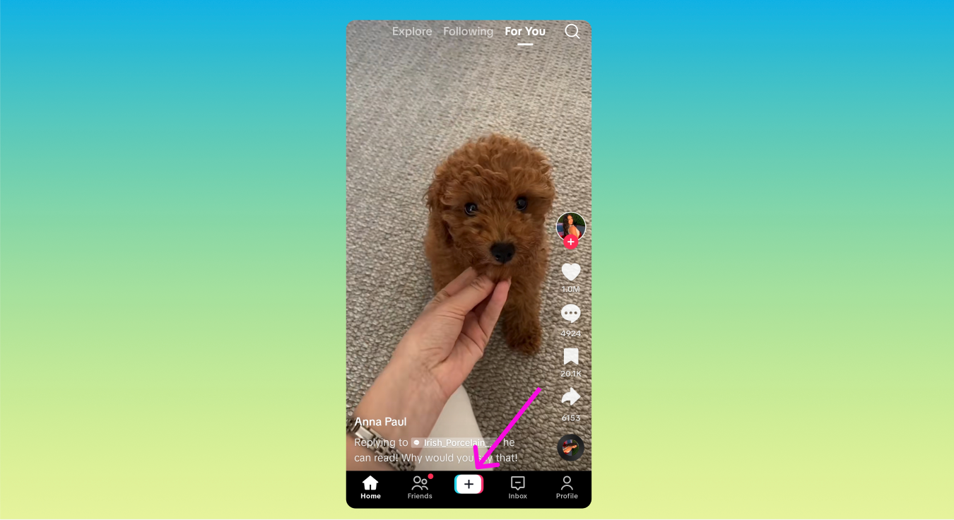 The TikTok For You page with a dog and an arrow pointing to the Plus button