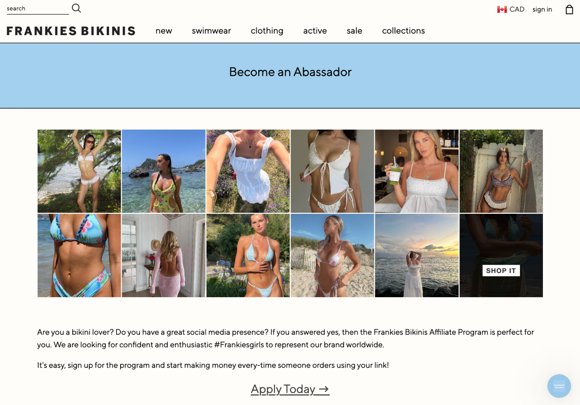 A screenshot of the Frankies Bikinis 